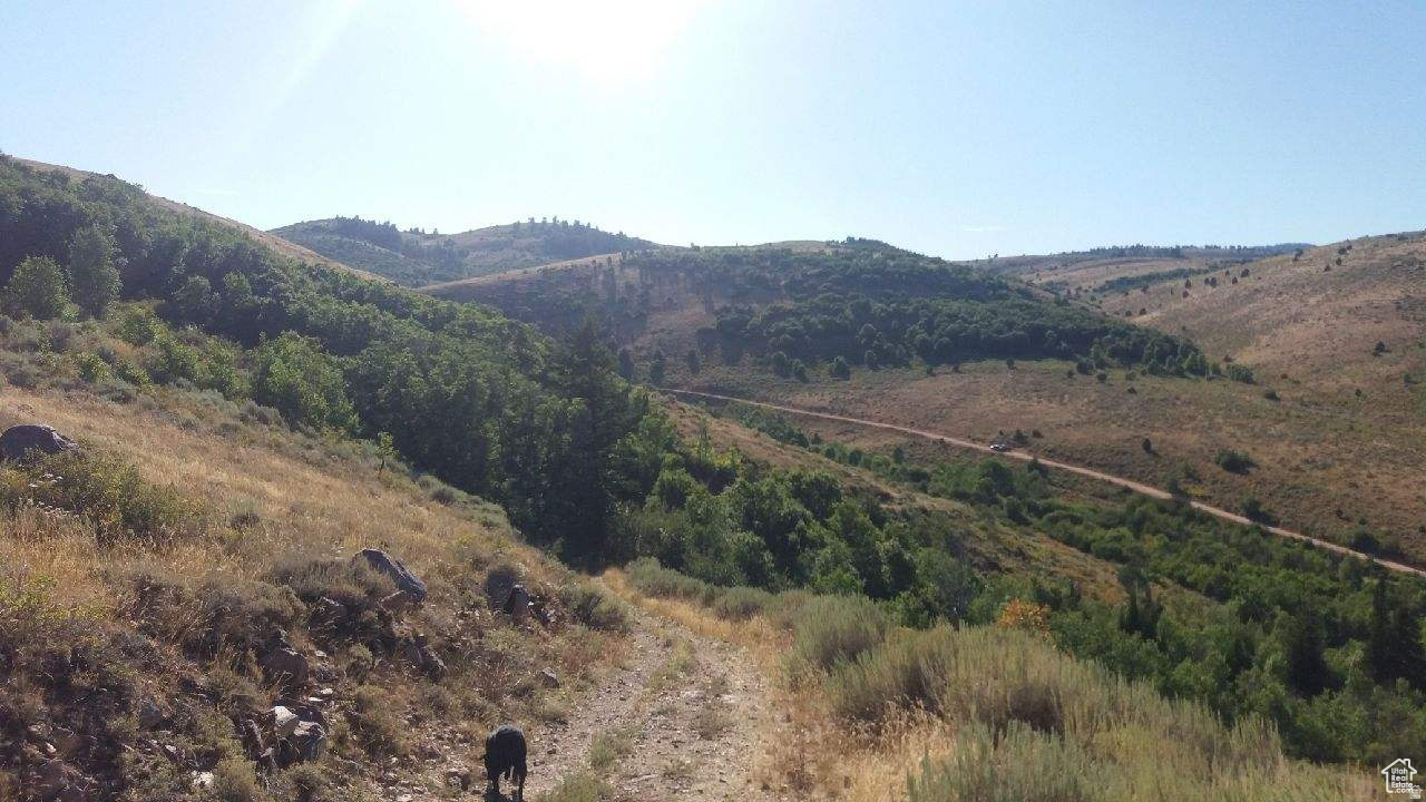 RANCH COMMUNITY AT BLEAB BEAR - Land