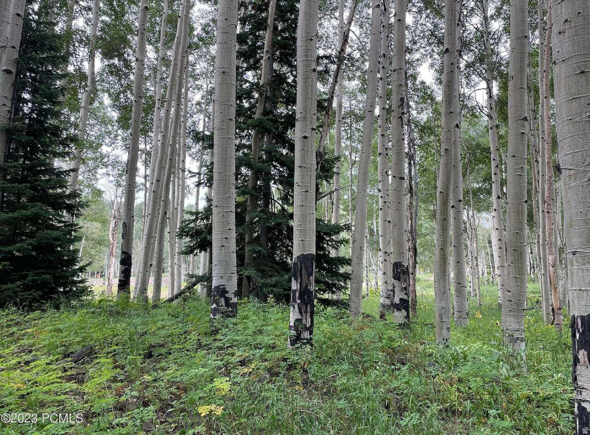 TIMBER LAKES - Land