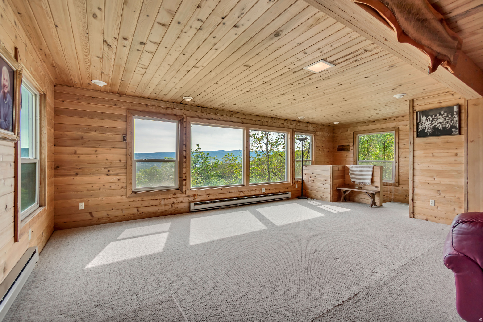 SWISS MOUNTAIN ESTATES - Residential