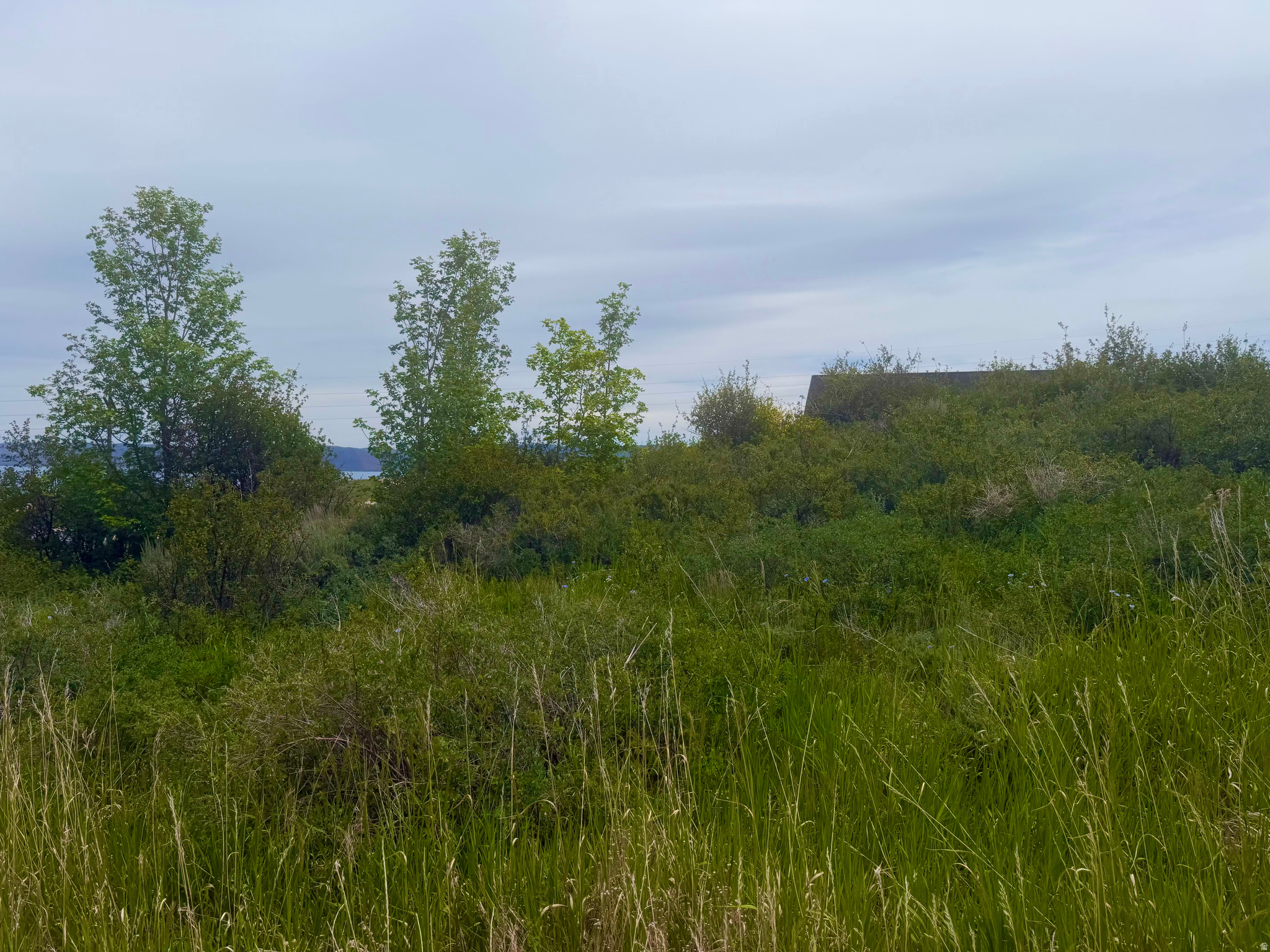 SWAN CREEK VILLAGE - Land