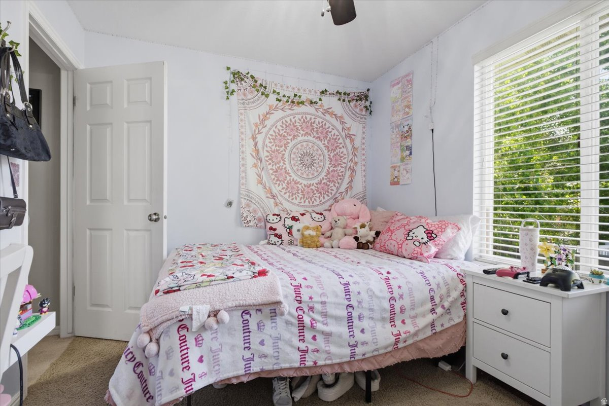 COTTONWOOD M - Residential