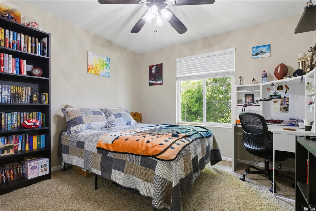 COTTONWOOD M - Residential