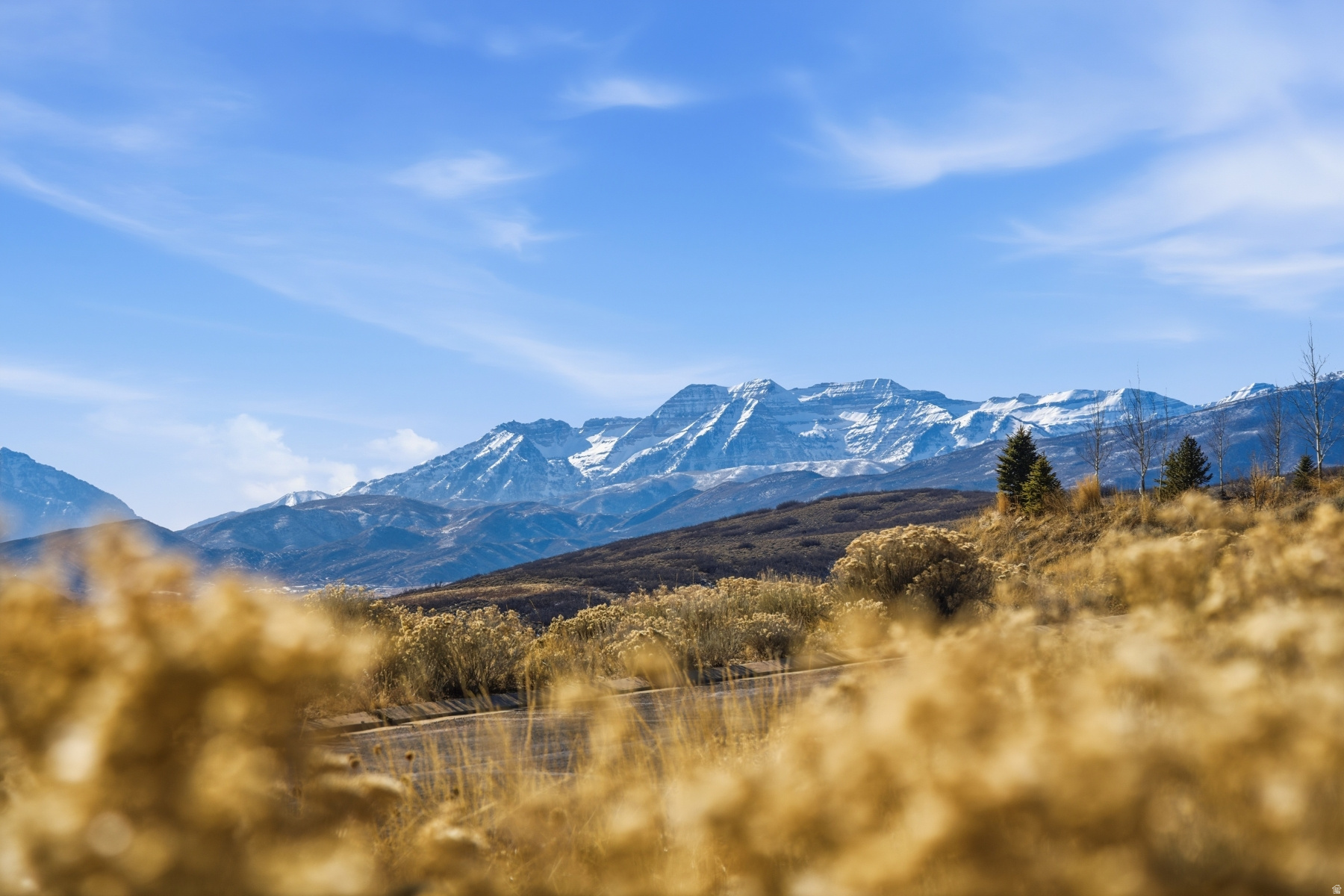 RIVER MEADOWS RANCH - Land