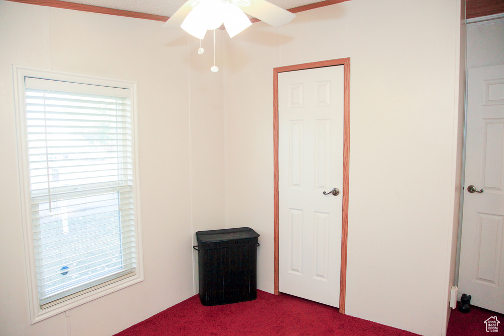 PALATIAL LIVING - Residential
