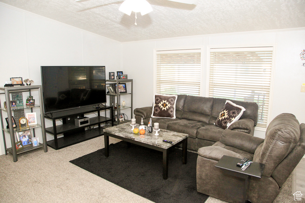 PALATIAL LIVING - Residential