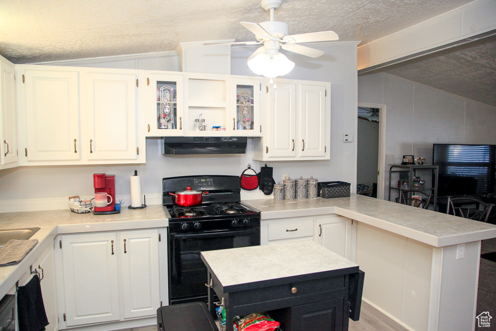 PALATIAL LIVING - Residential