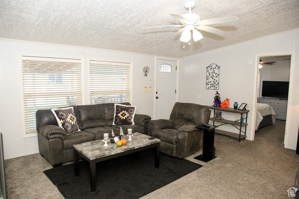 PALATIAL LIVING - Residential