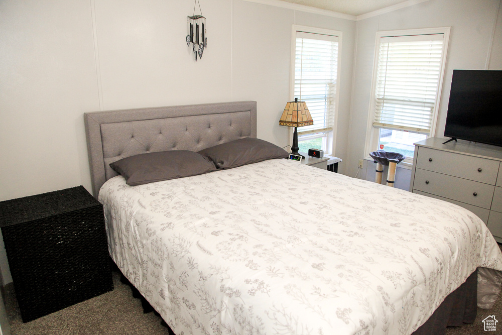 PALATIAL LIVING - Residential