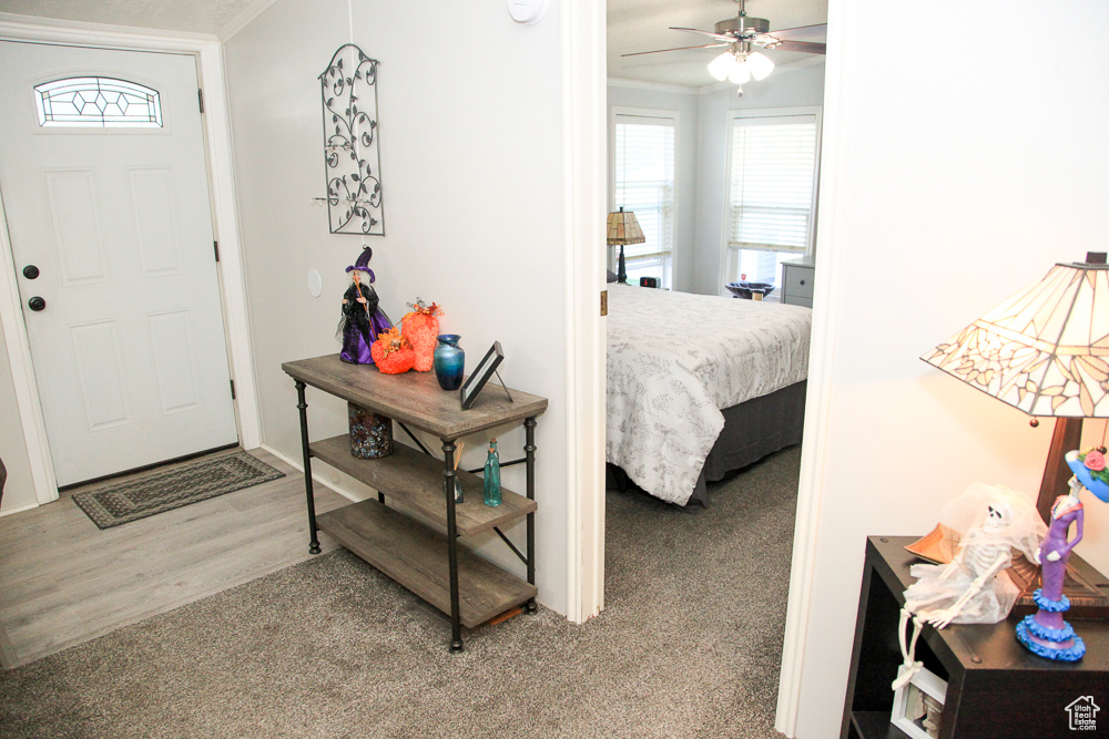 PALATIAL LIVING - Residential