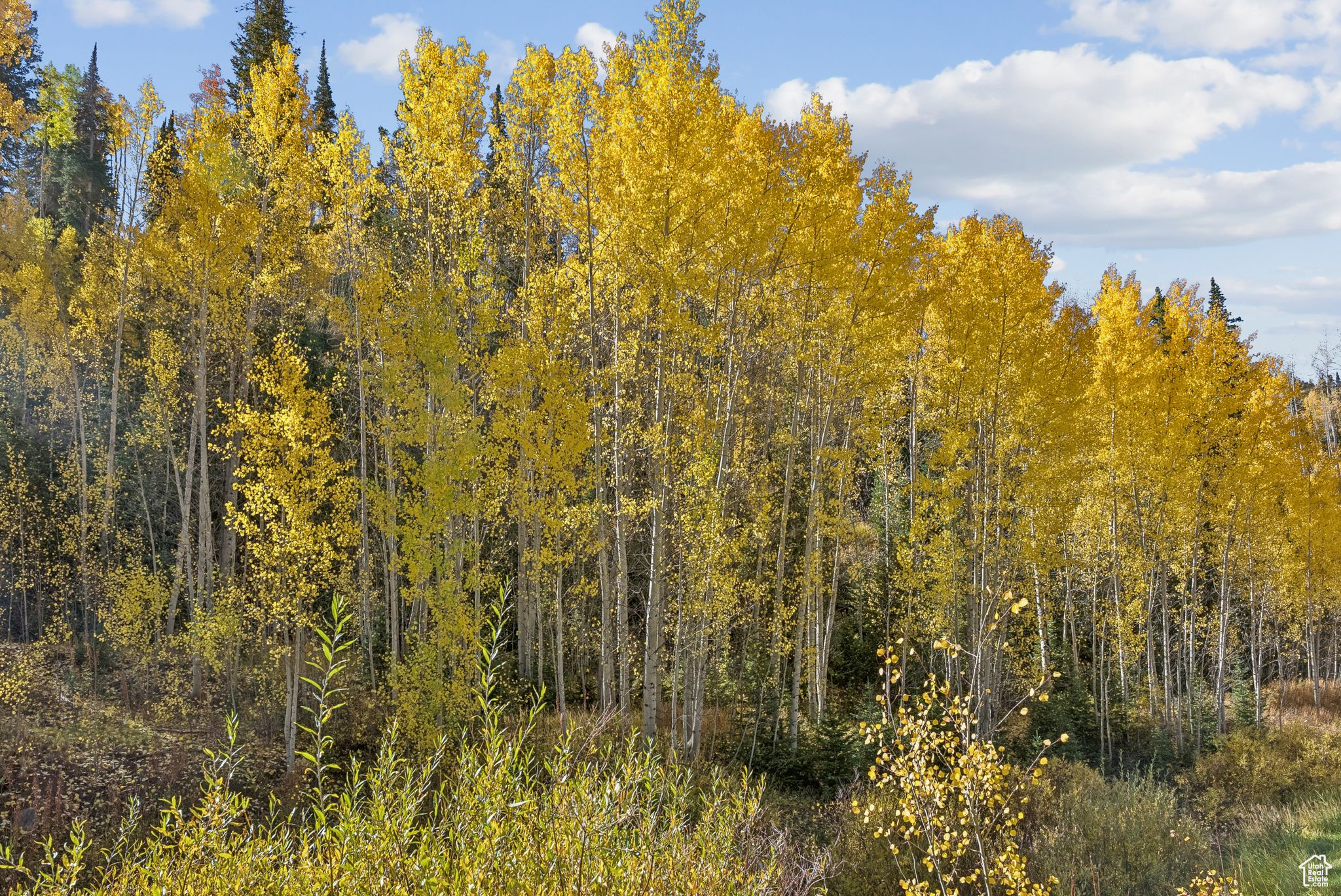 CLEAR CREEK - Residential