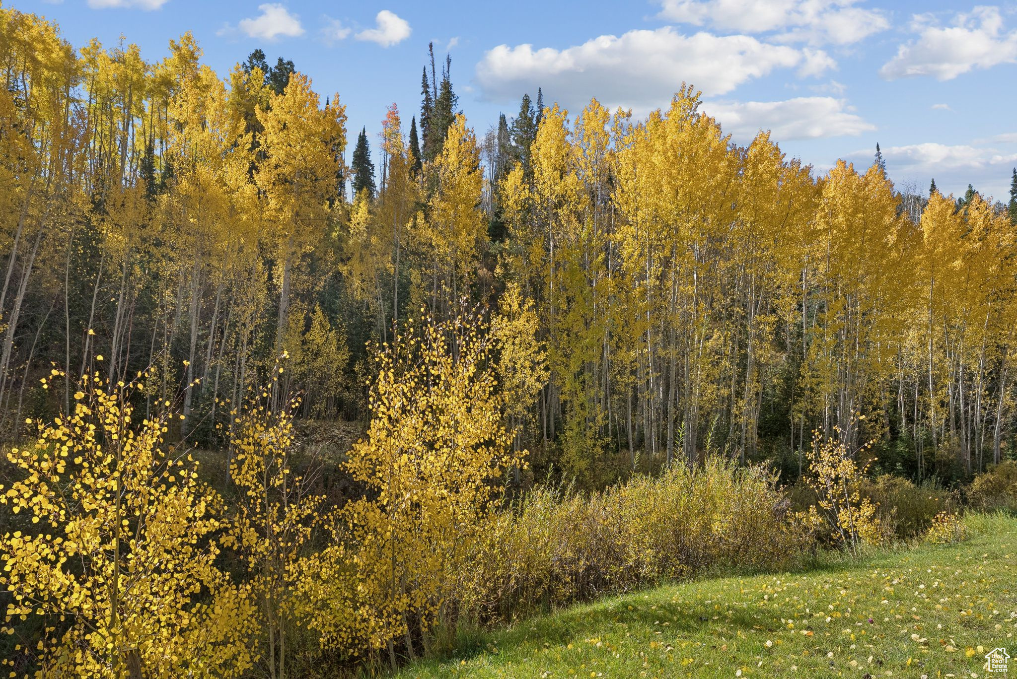 CLEAR CREEK - Residential