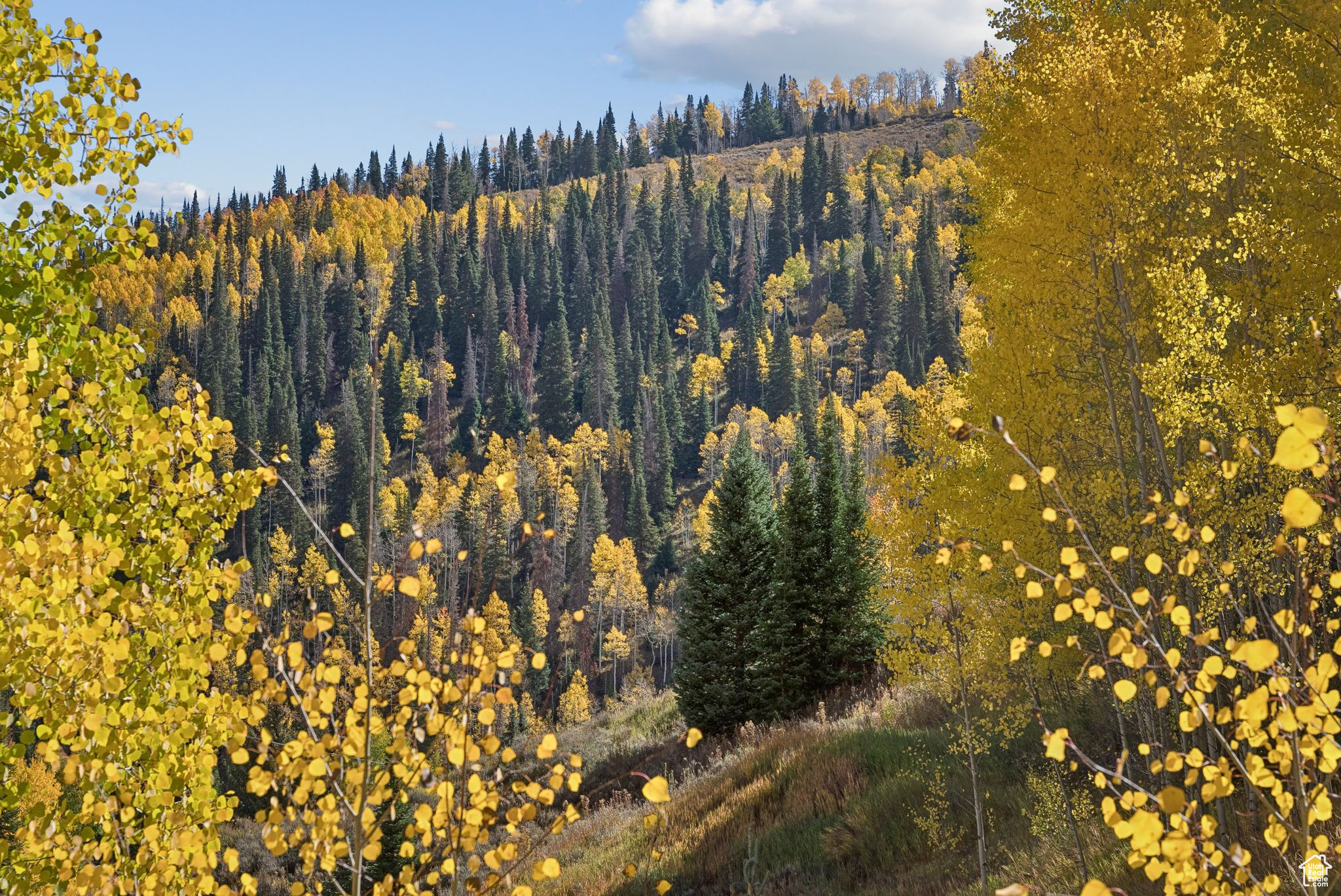 CLEAR CREEK - Residential