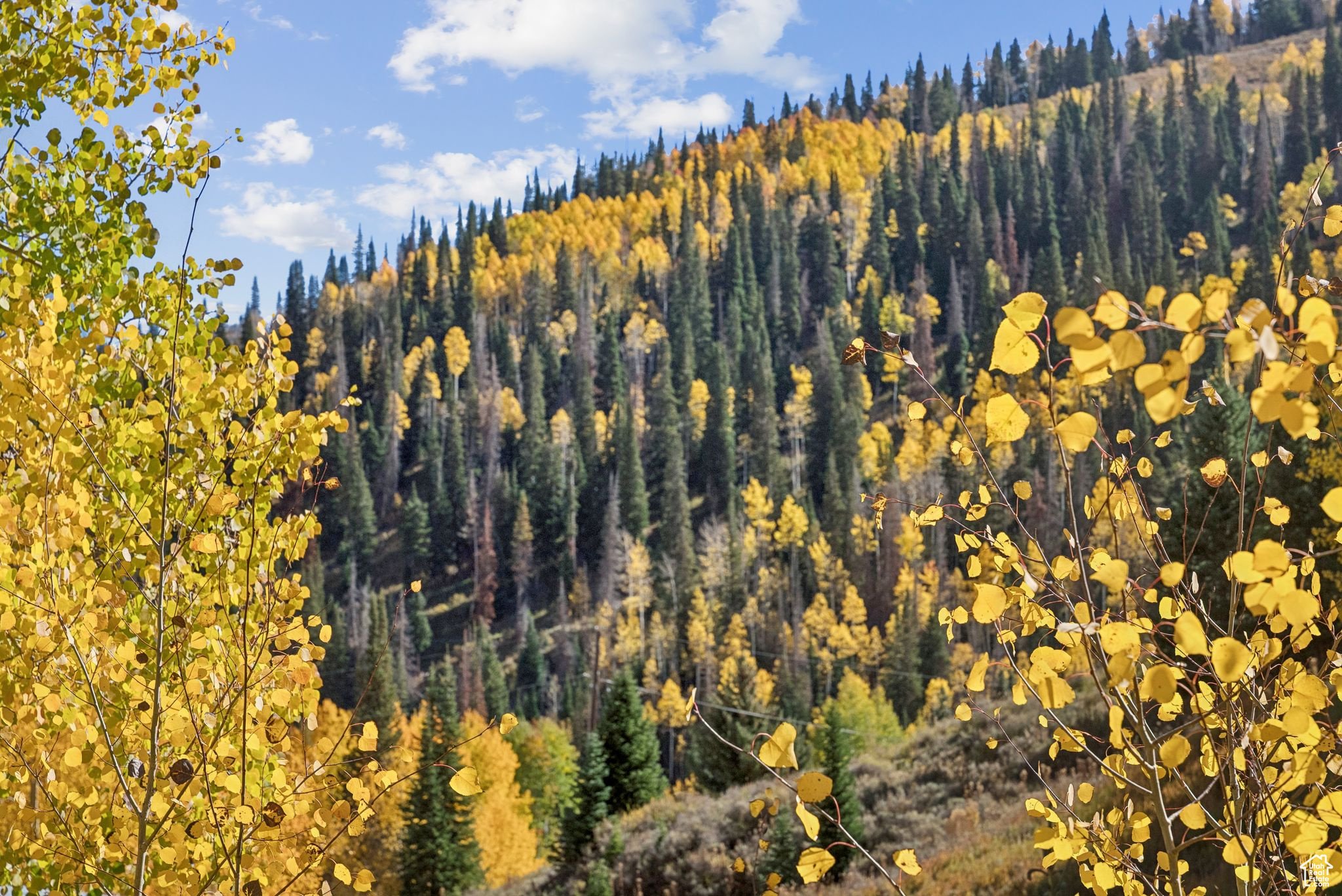 CLEAR CREEK - Residential