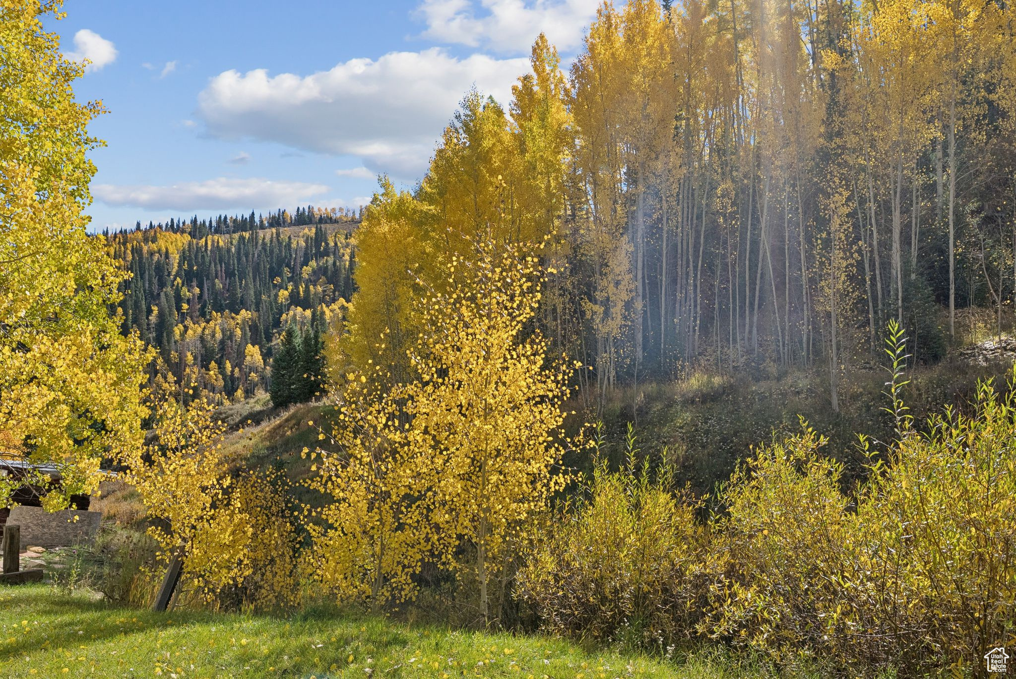 CLEAR CREEK - Residential