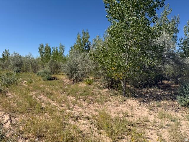 Own Your Private Acre in the Trees - Ideal for a Camp Trailer or Workshop! Looking for a peaceful retreat surrounded by nature? This 1-acre sanctuary is the perfect getaway, offering abundant wildlife-including turkeys, deer, and more-all while being just a short drive from Cedar City, Utah. With no HOA and no CCRs, you have the freedom to use the property however you like. Whether you're looking for a quiet place to park your trailer, build a workshop, or just enjoy the great outdoors, this property is ready for you! Utilities Nearby: Sewer is approximately 450 feet away. Water and power available on 1700 W