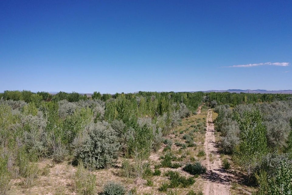 ENOCH VALLEY ACRES - Land