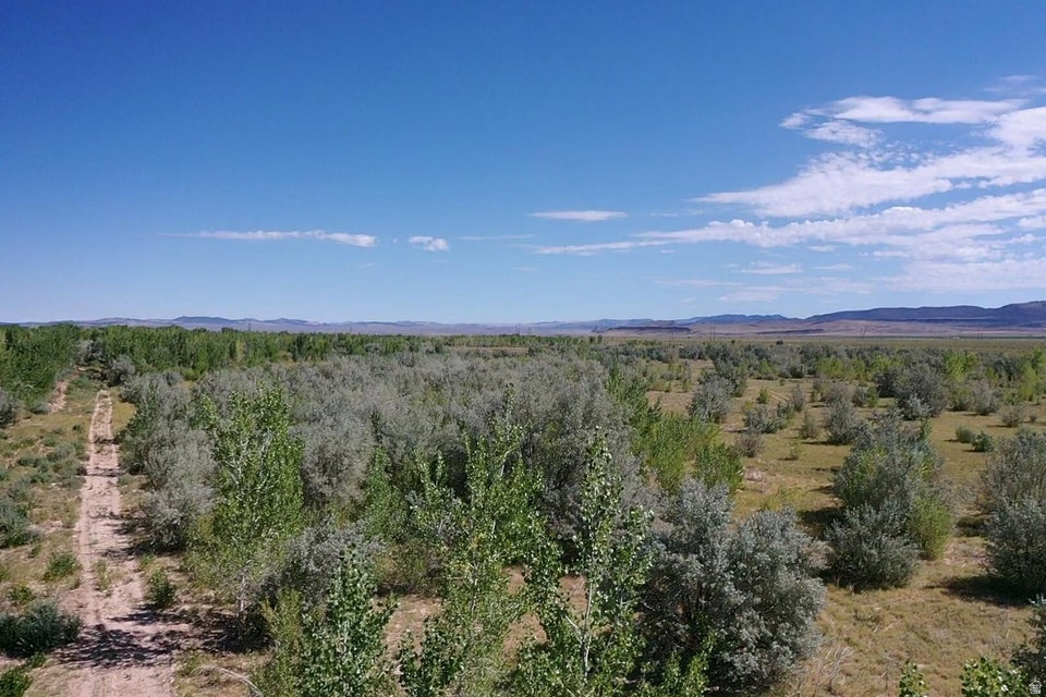 ENOCH VALLEY ACRES - Land