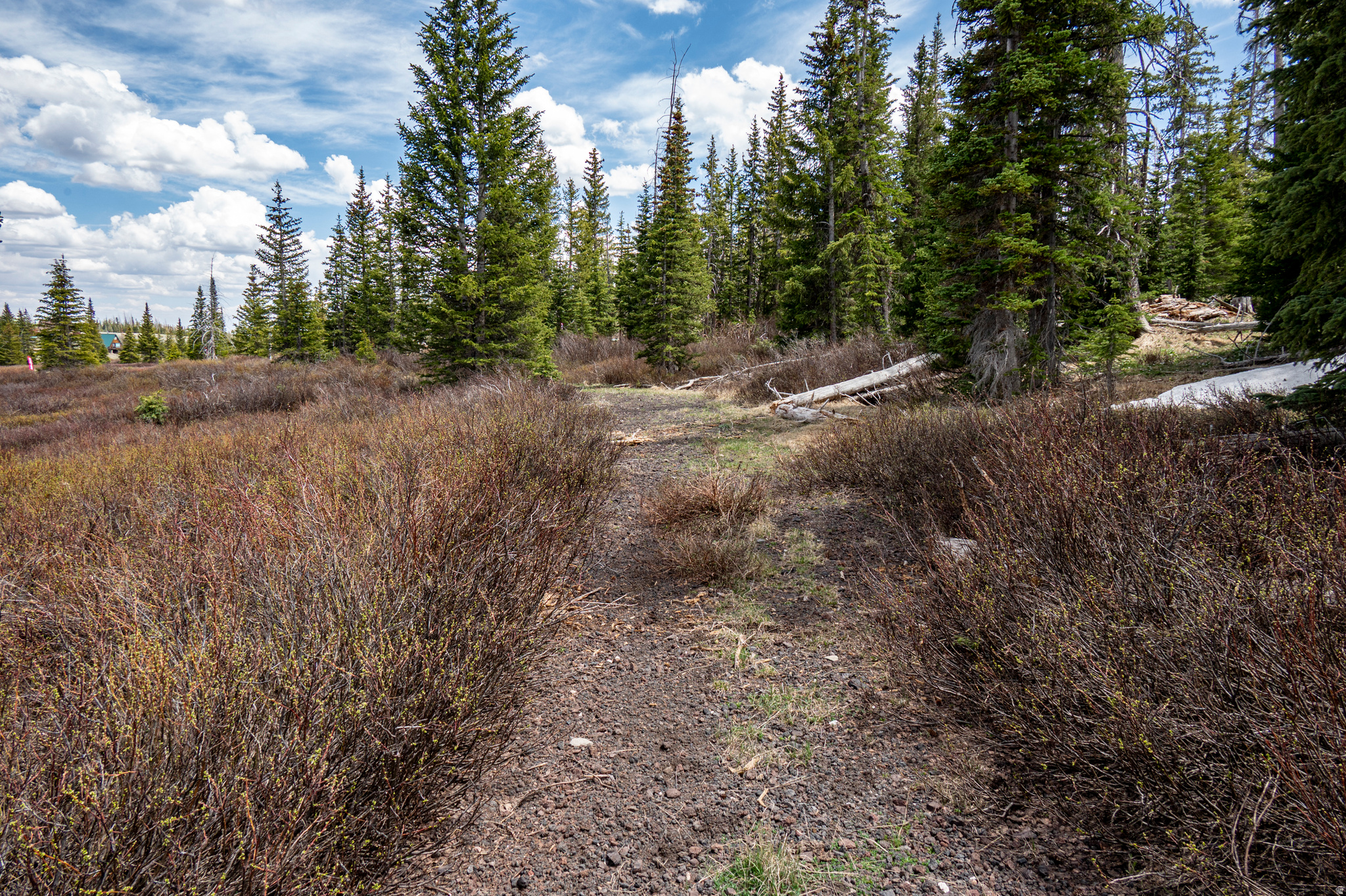 RAINBOW MEADOW RANCHOS - Land