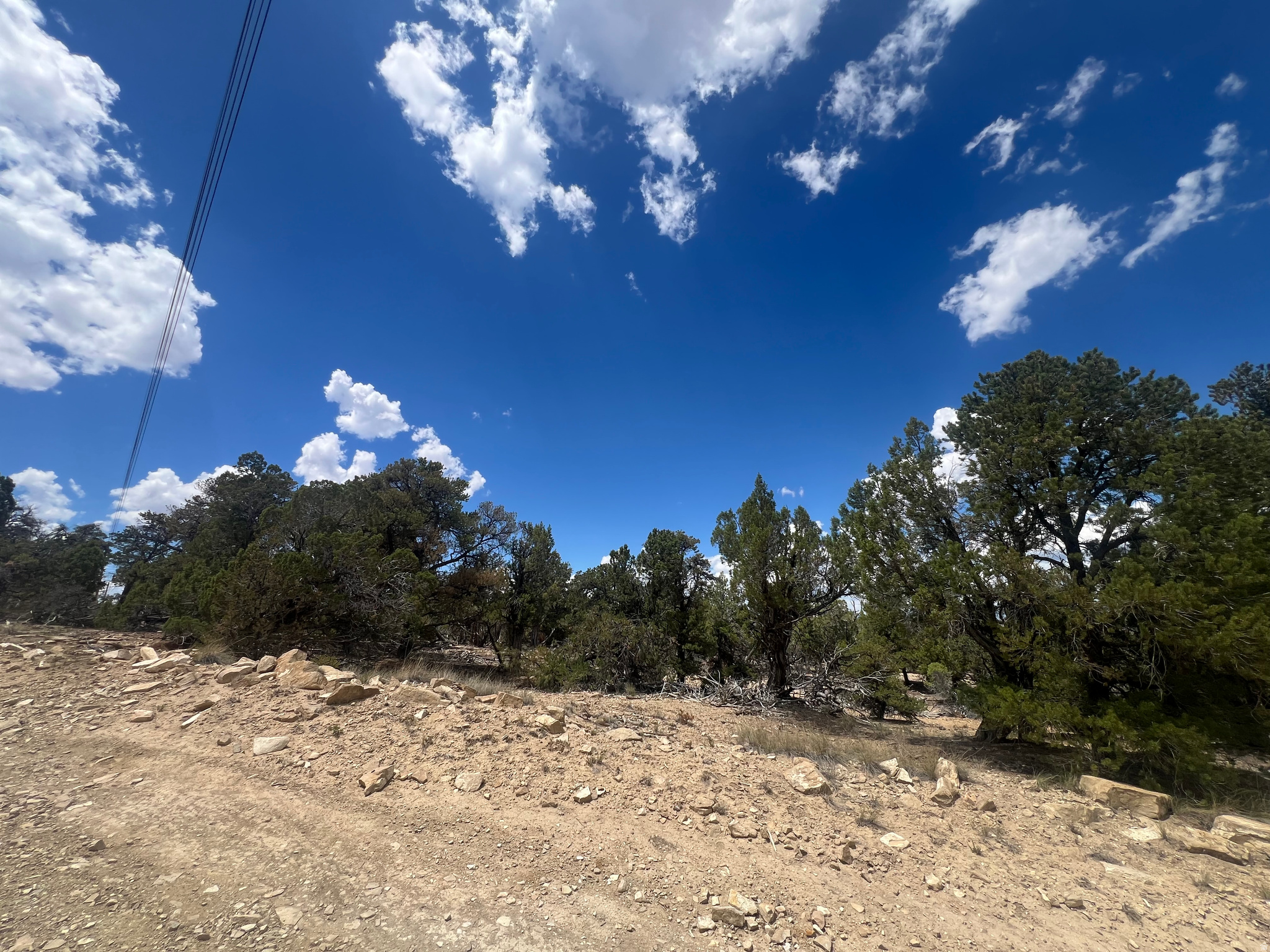 CEDAR MTN #9 - Land