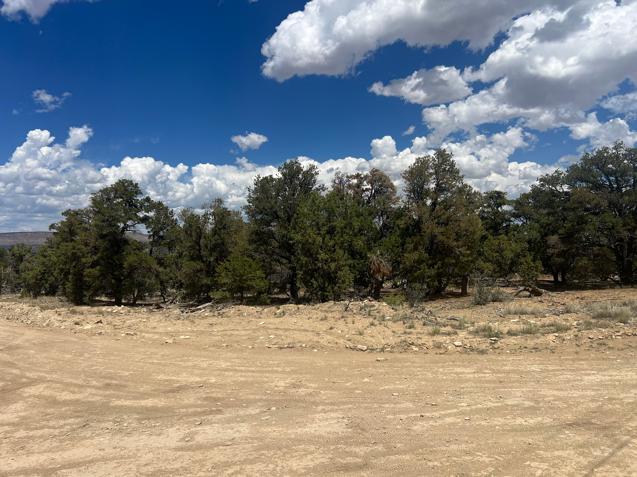 CEDAR MTN #9 - Land