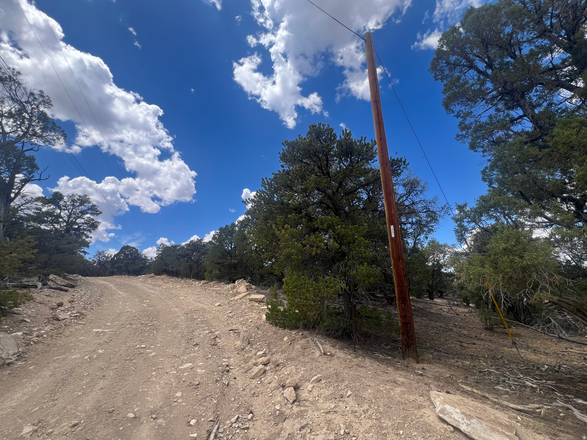 CEDAR MTN #9 - Land