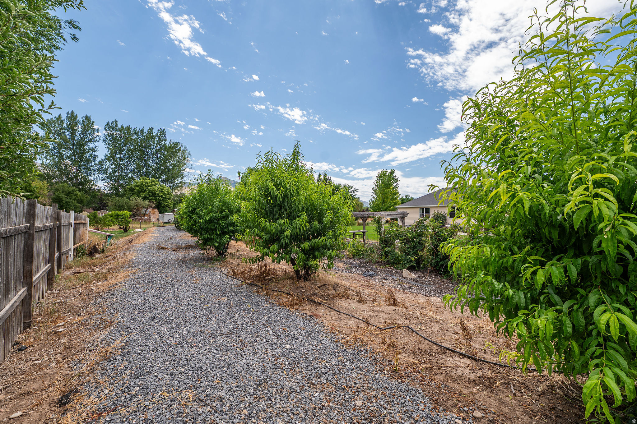 ROLLING HILLS - Residential