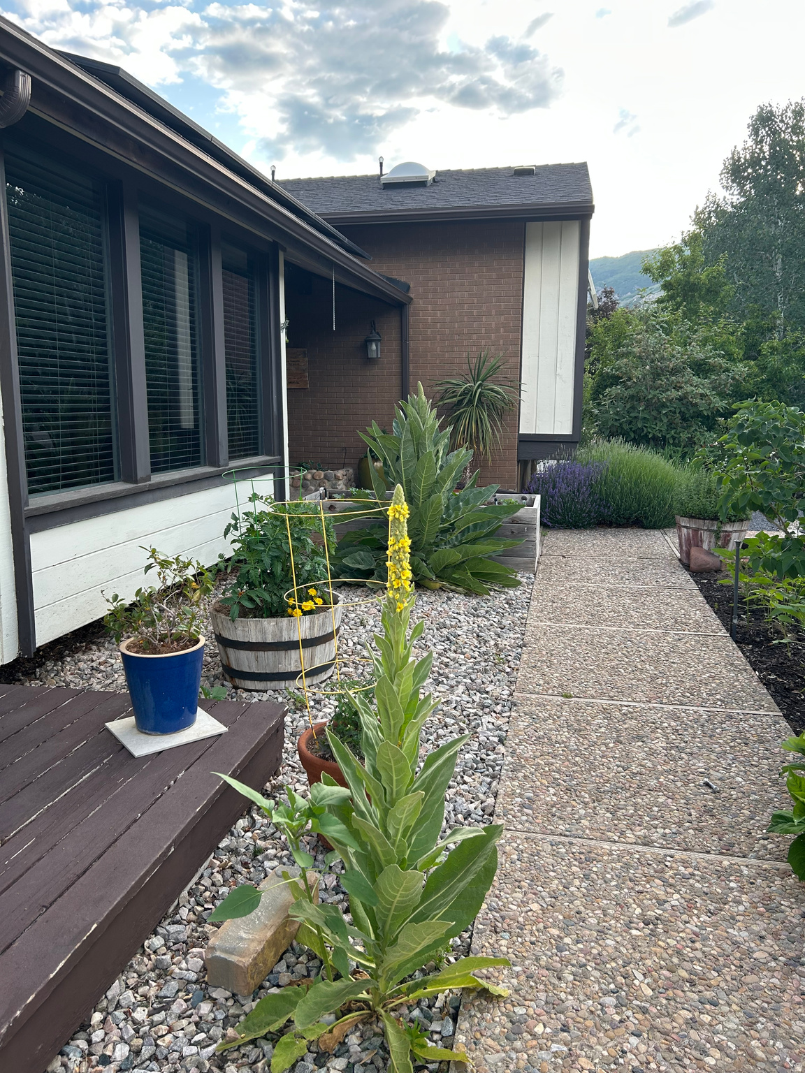 SOUTH HEIGHTS - Residential