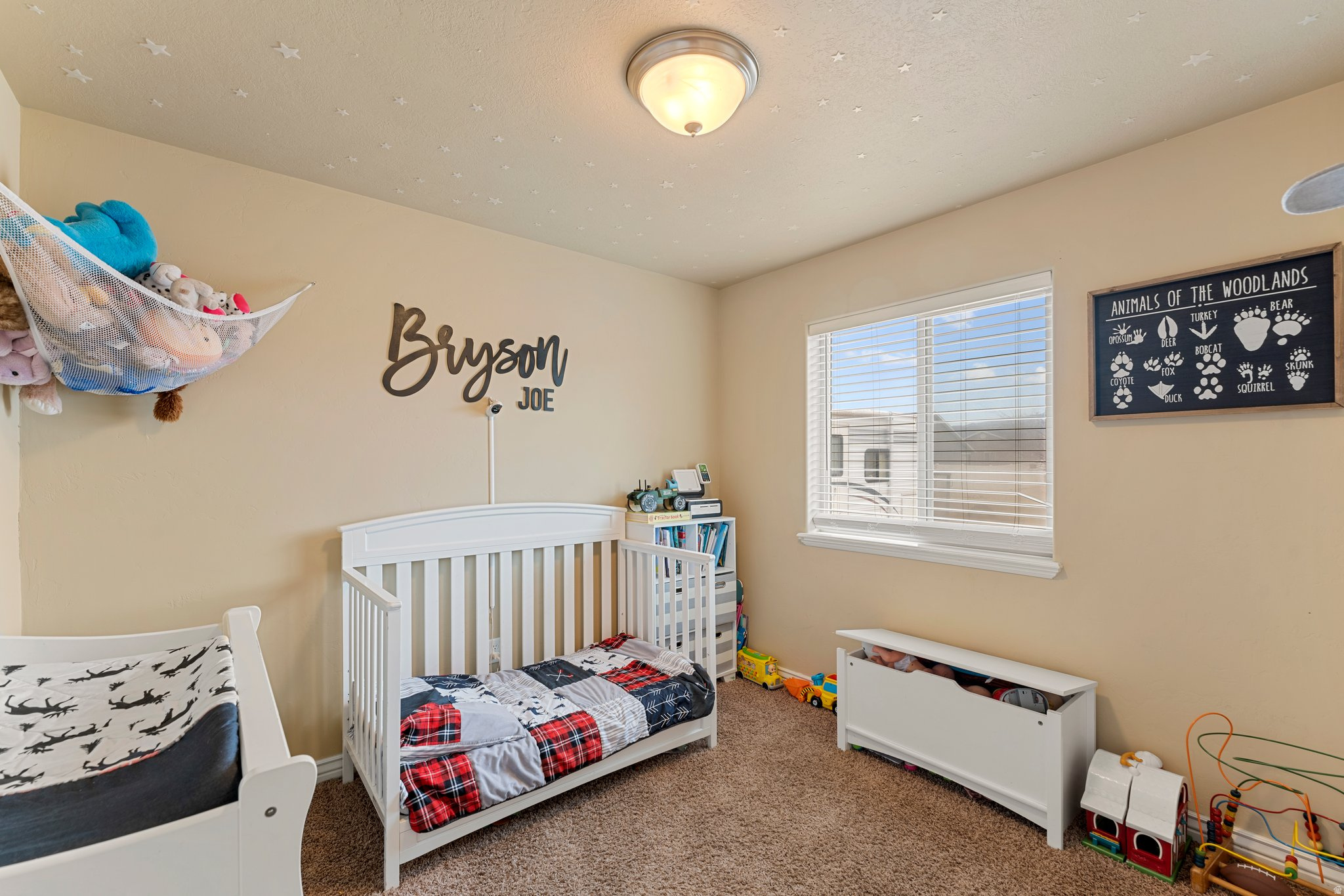 CEDAR MEADOWS SUBDIVISION - Residential