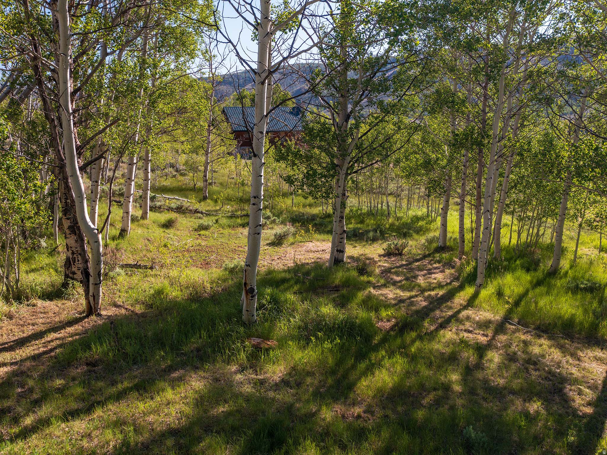 ASPEN COVE - Land