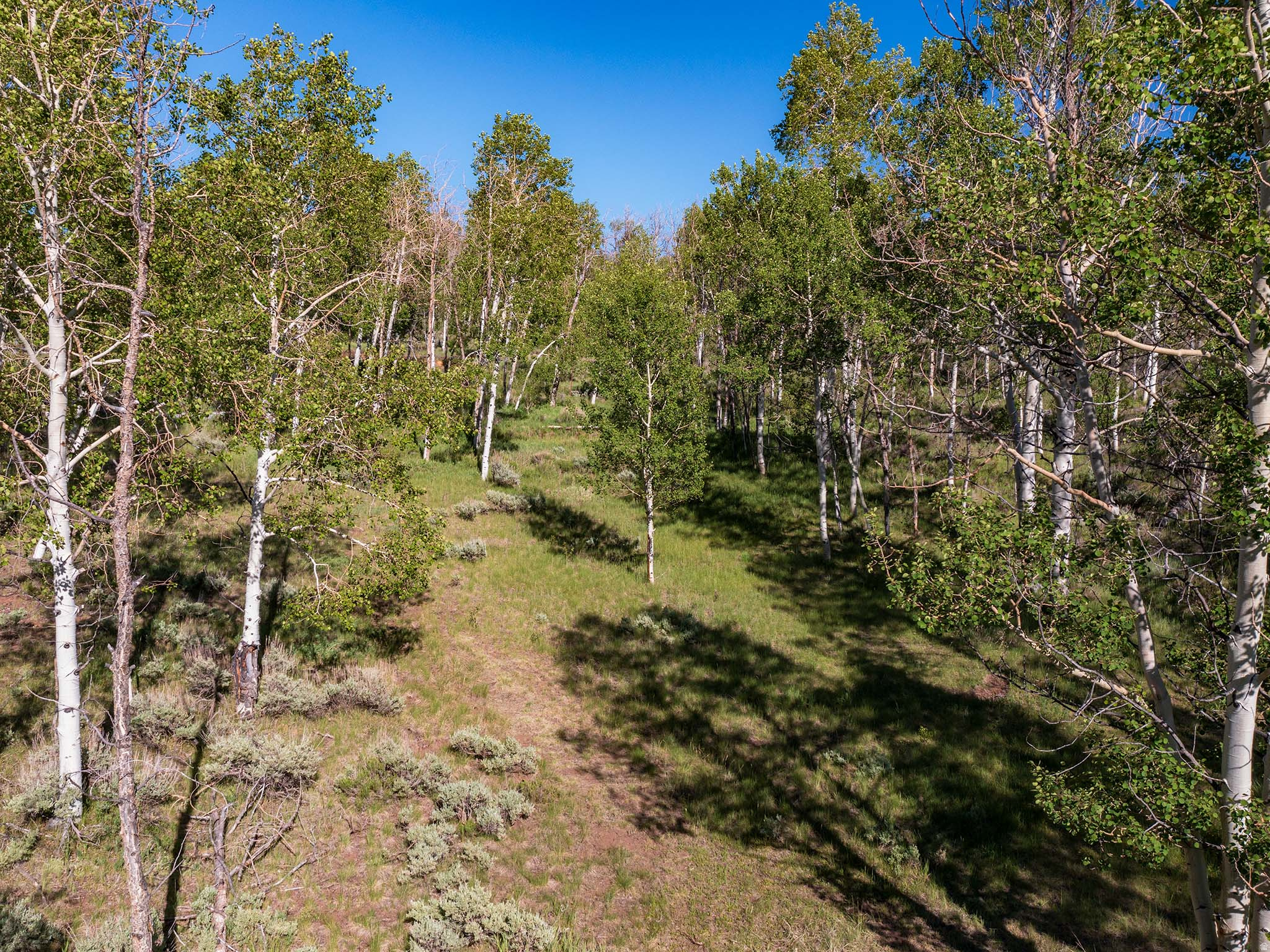 ASPEN COVE - Land