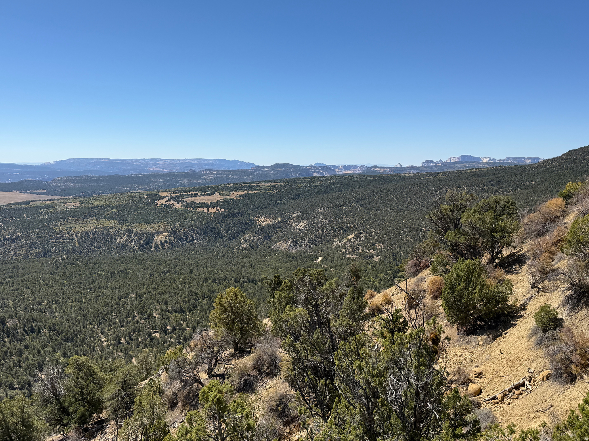 A rare opportunity to own a potential cabin lot near Zion National Park's East Entrance. This highly soughtafter area offers breathtaking scenery, unmatched tranquility, and the perfect setting for a dream getaway. Properties in this location are limited and in high demand.