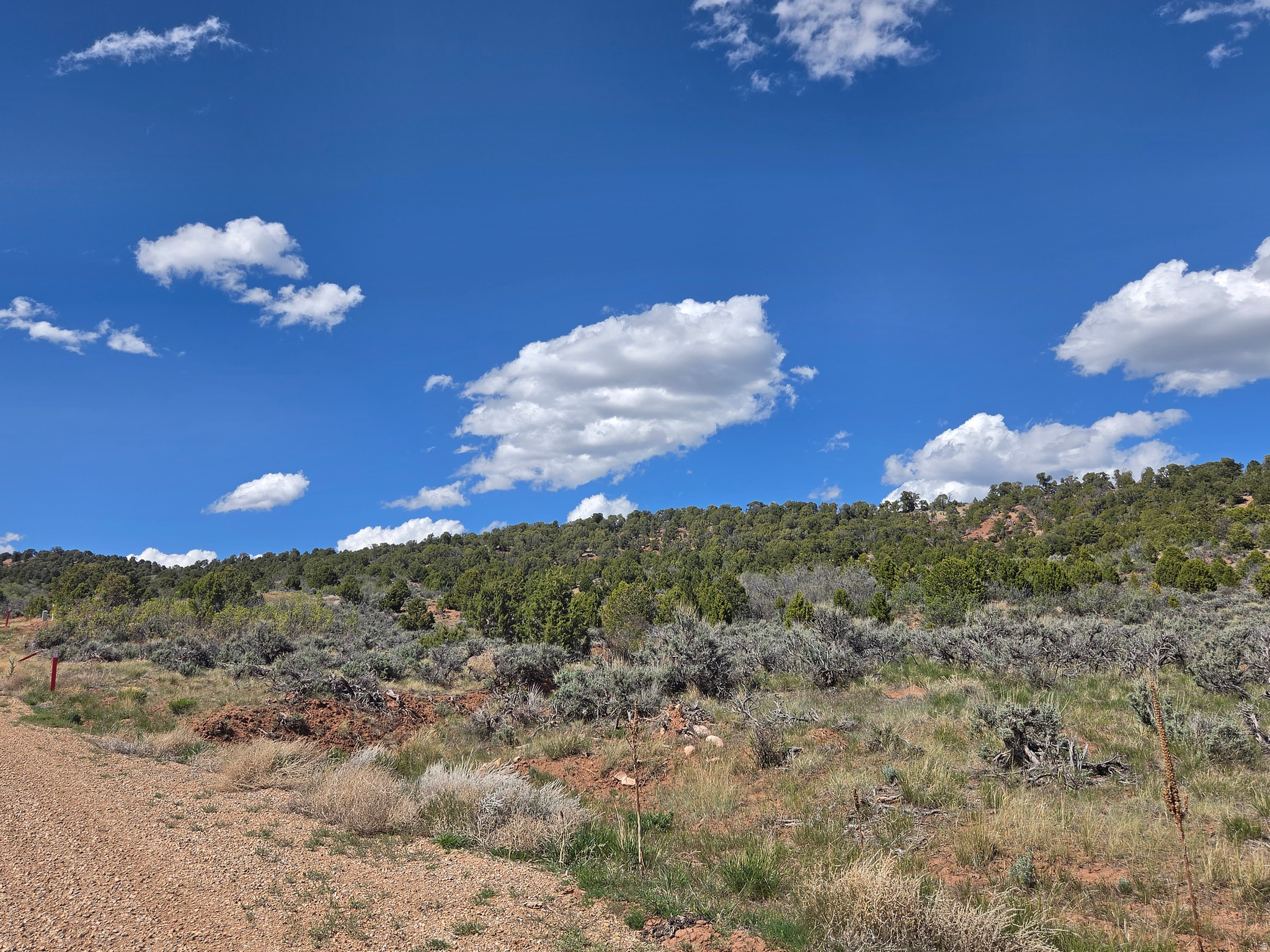 OAK HILLS RANCH - Land