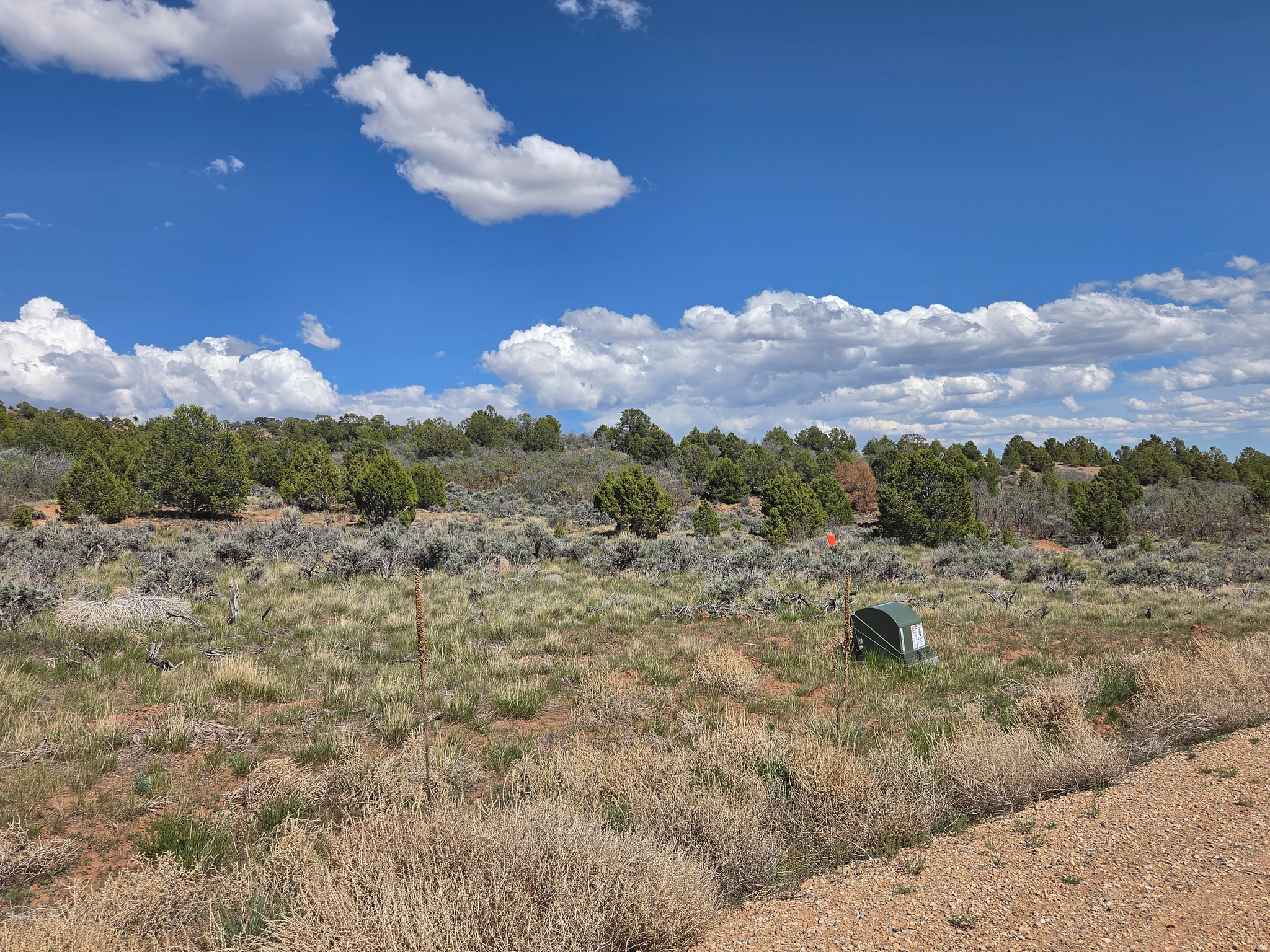 OAK HILLS RANCH - Land