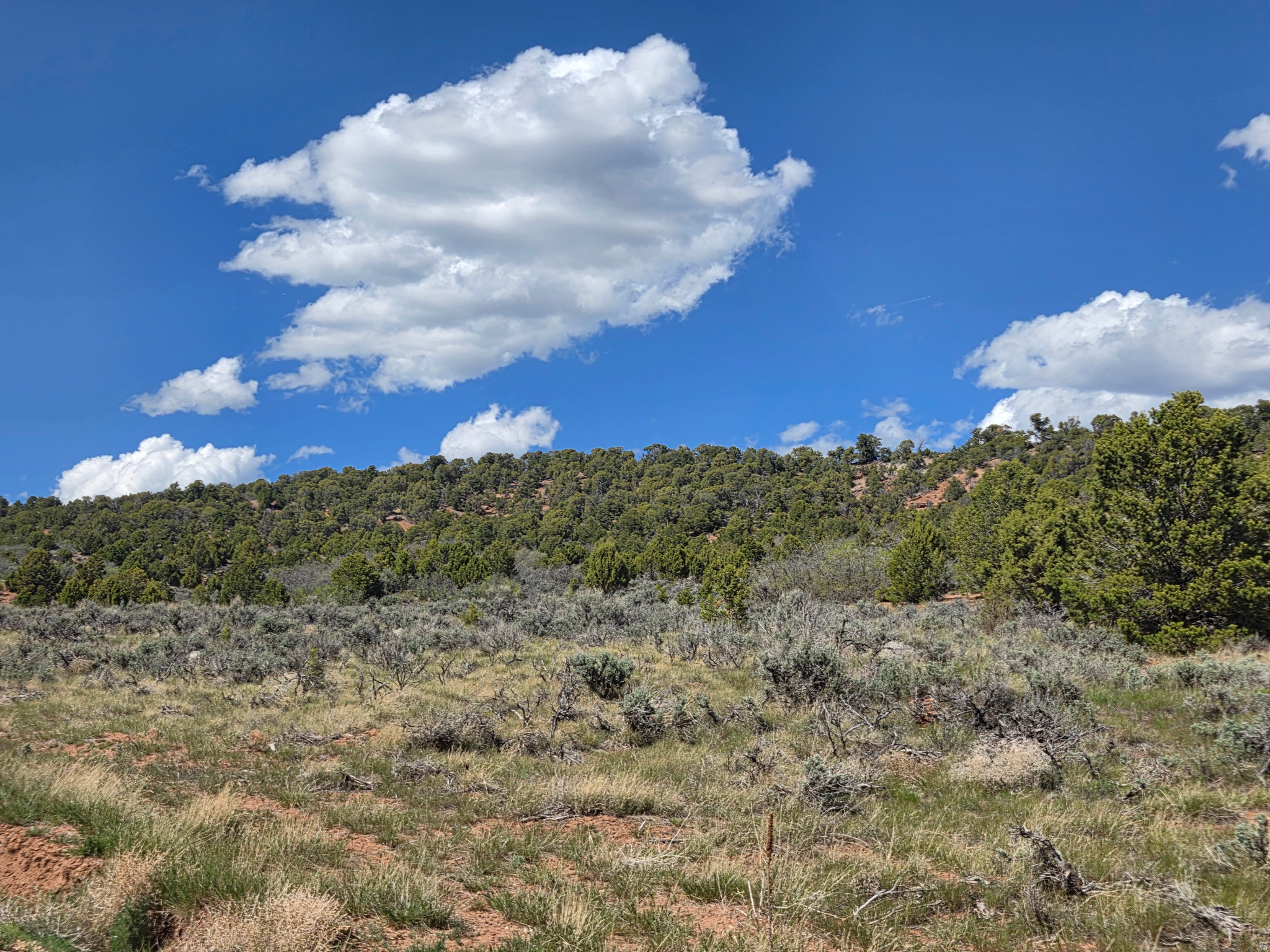 * Stunning 15.18 Acre Lot at Oak Hills Ranch in Fruitland! * Gated Community * Year- round access * Underground Power transformer stubbed to each lot * Connected to water with a shared well & perk test done for septic! * This land is ready to build your dream home or you're welcome to camp! * 6 lots available!! * There is new fishing pond that is being added to the ranch & has many flat areas, trees and landscape * Beautiful views!! * Amazing place to escape and enjoy some peace & quiet * Red Creek Reservoir within minutes * Only 30 mins from world class fishing at Strawberry Reservoir, Starvation & Current Creek Reservoirs along with many streams/rivers! * Fishing, hunting, wildlife and all the recreation you can imagine right from your back door! * Wonderful place to have a vacation getaway or build your dream home! * Horse property! * Miles of dirt roads to ride 4wheelers, dirt bikes & side by sides! * Buyer will be required to pay $275 per year for road maintenance access through Bandanna Ranch/Thunder Ridge. * Once you build - Nightly rentals for AirBnB are allowed!