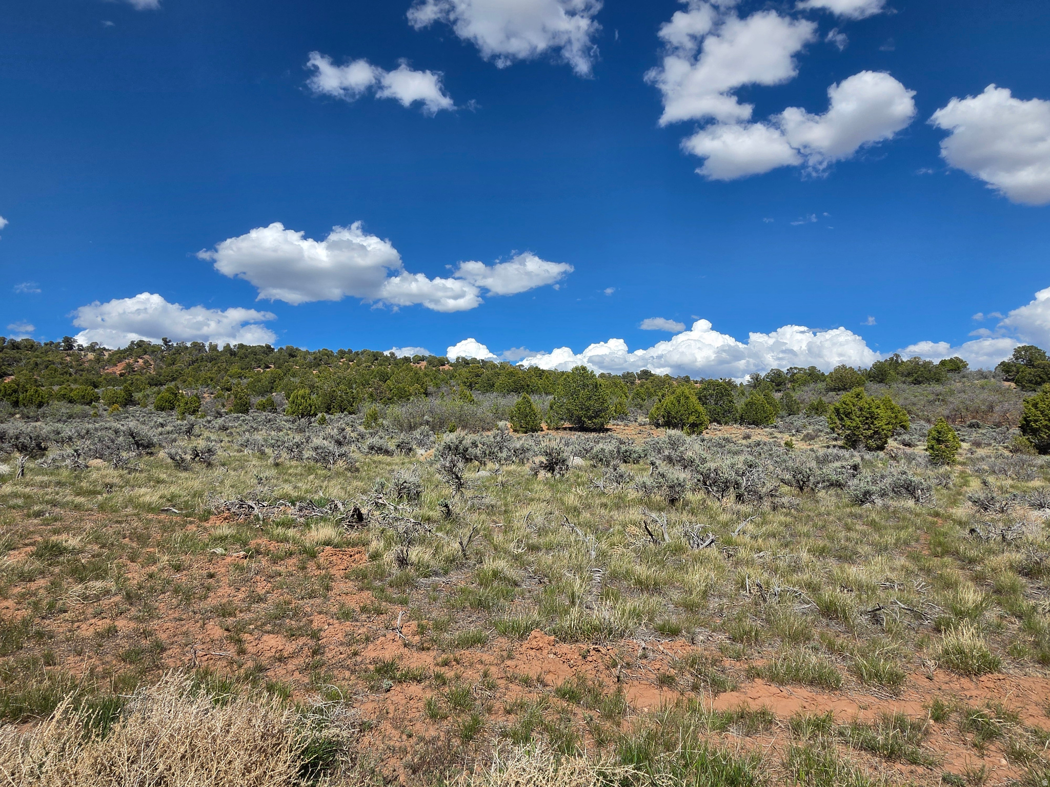 OAK HILLS RANCH - Land