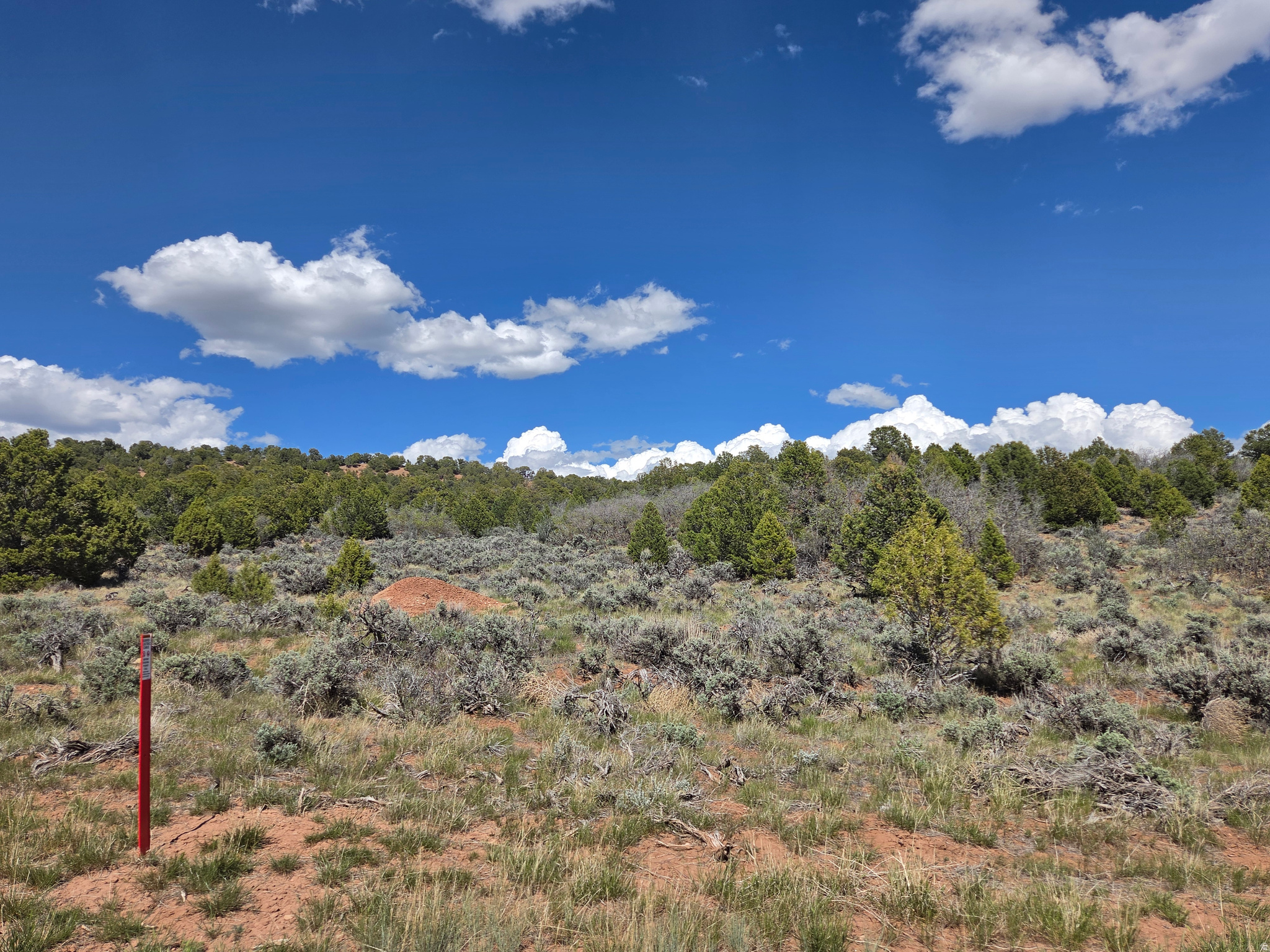OAK HILLS RANCH - Land