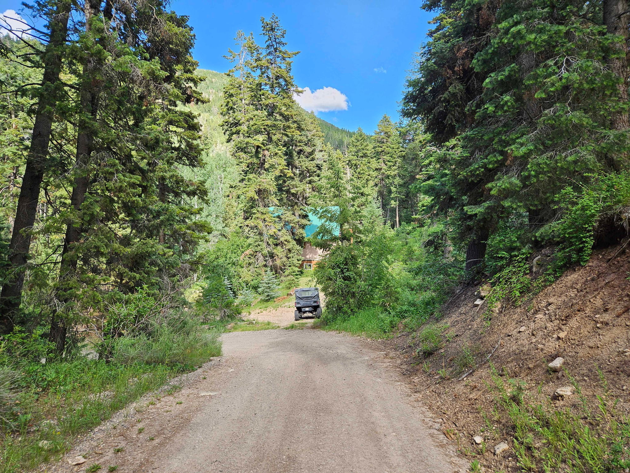 PINE CREEK ACRES - Land