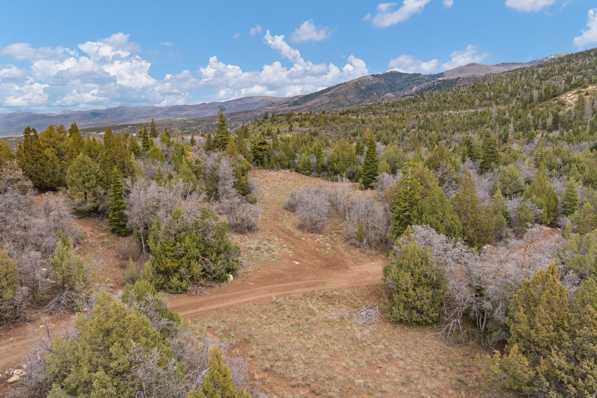 SPRING CITY RANCHERO - Residential