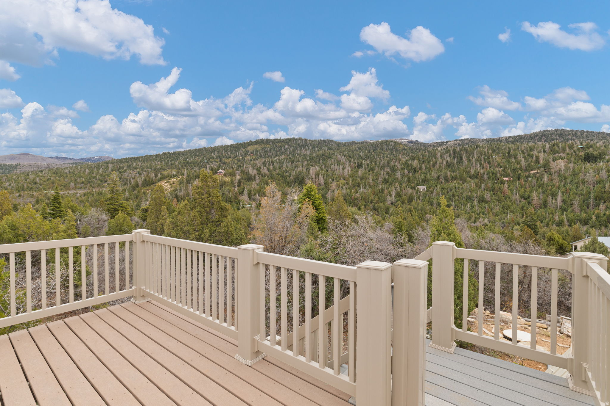 SPRING CITY RANCHERO - Residential