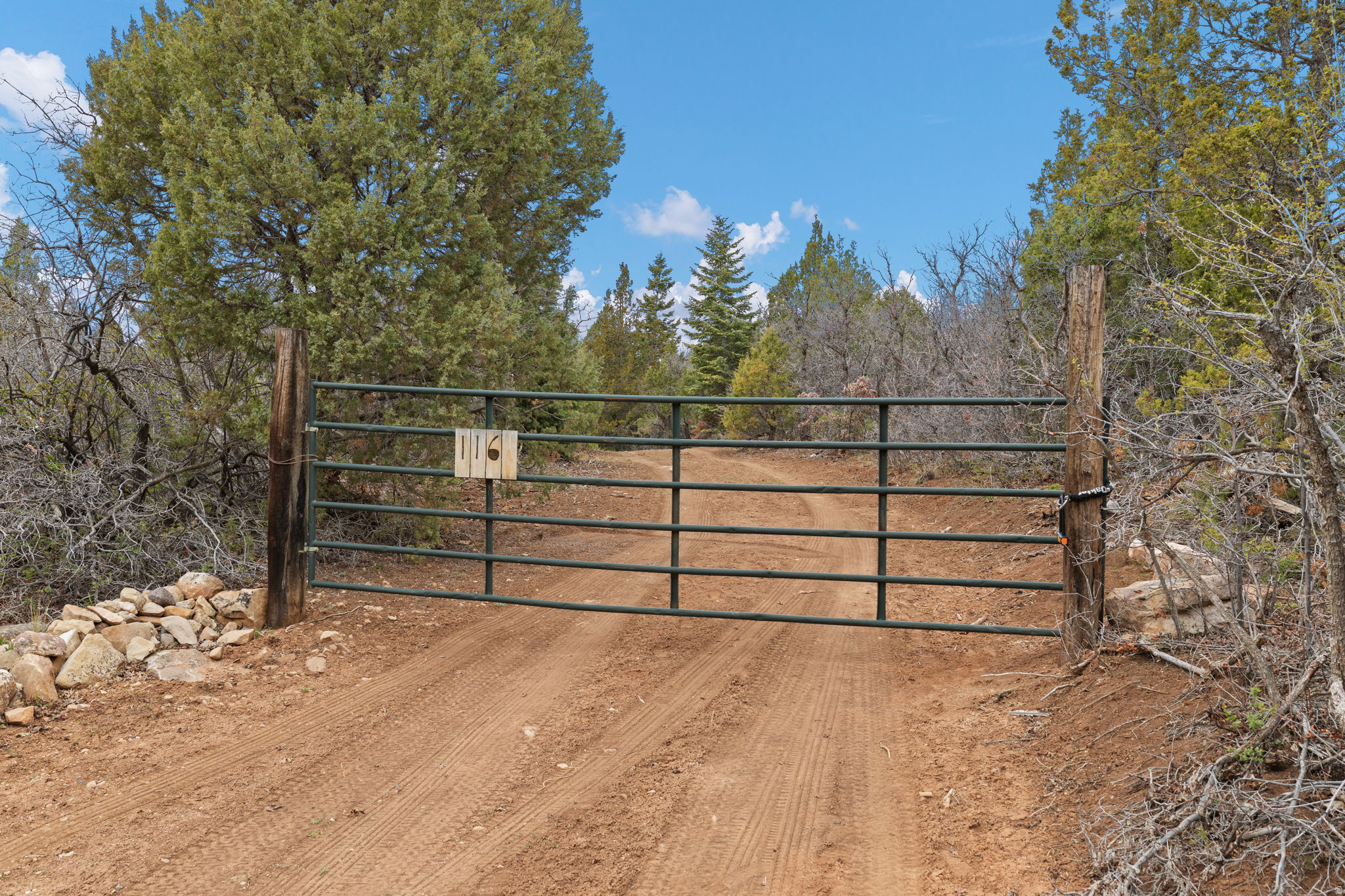 SPRING CITY RANCHERO - Residential