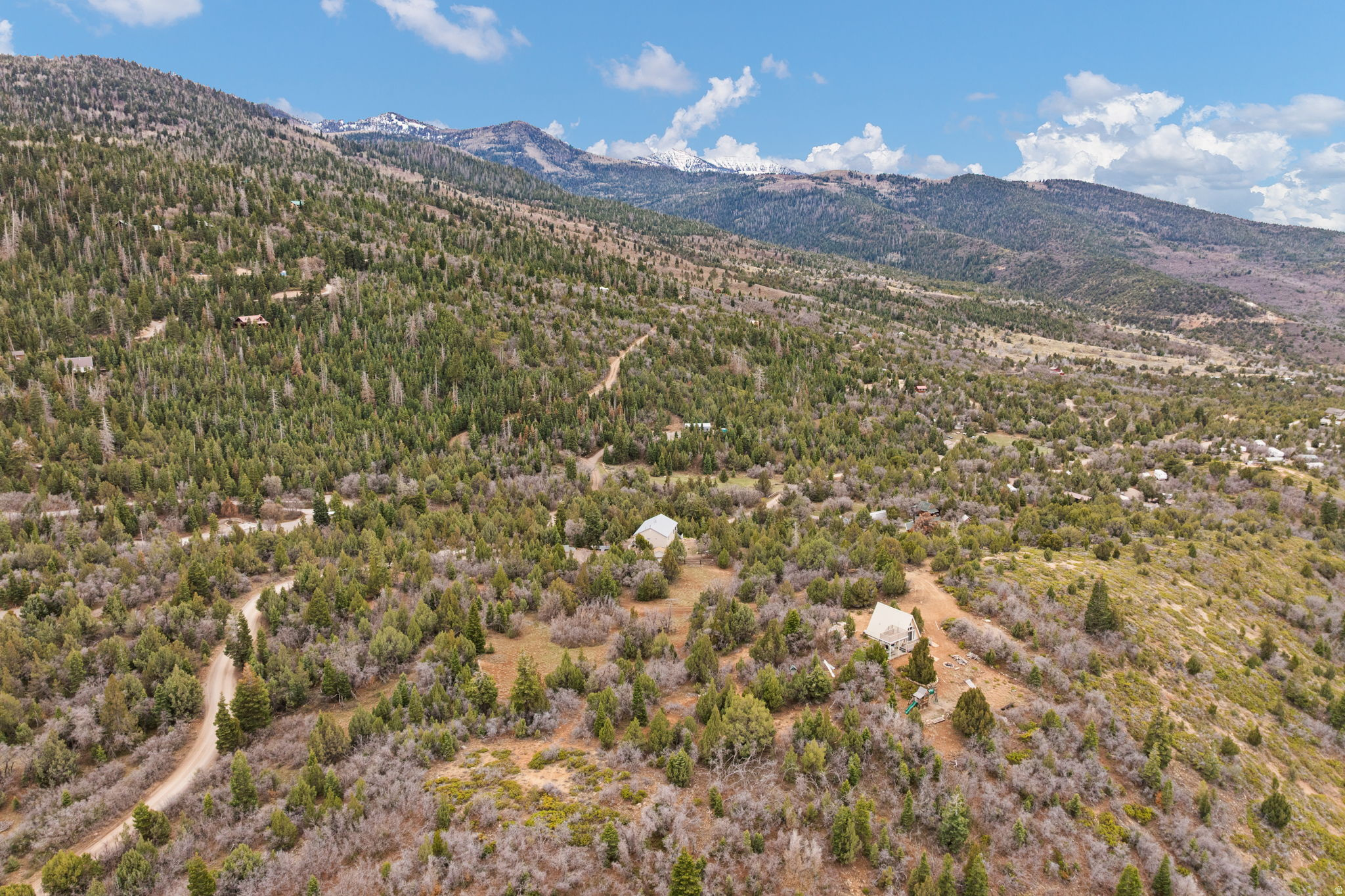 SPRING CITY RANCHERO - Residential