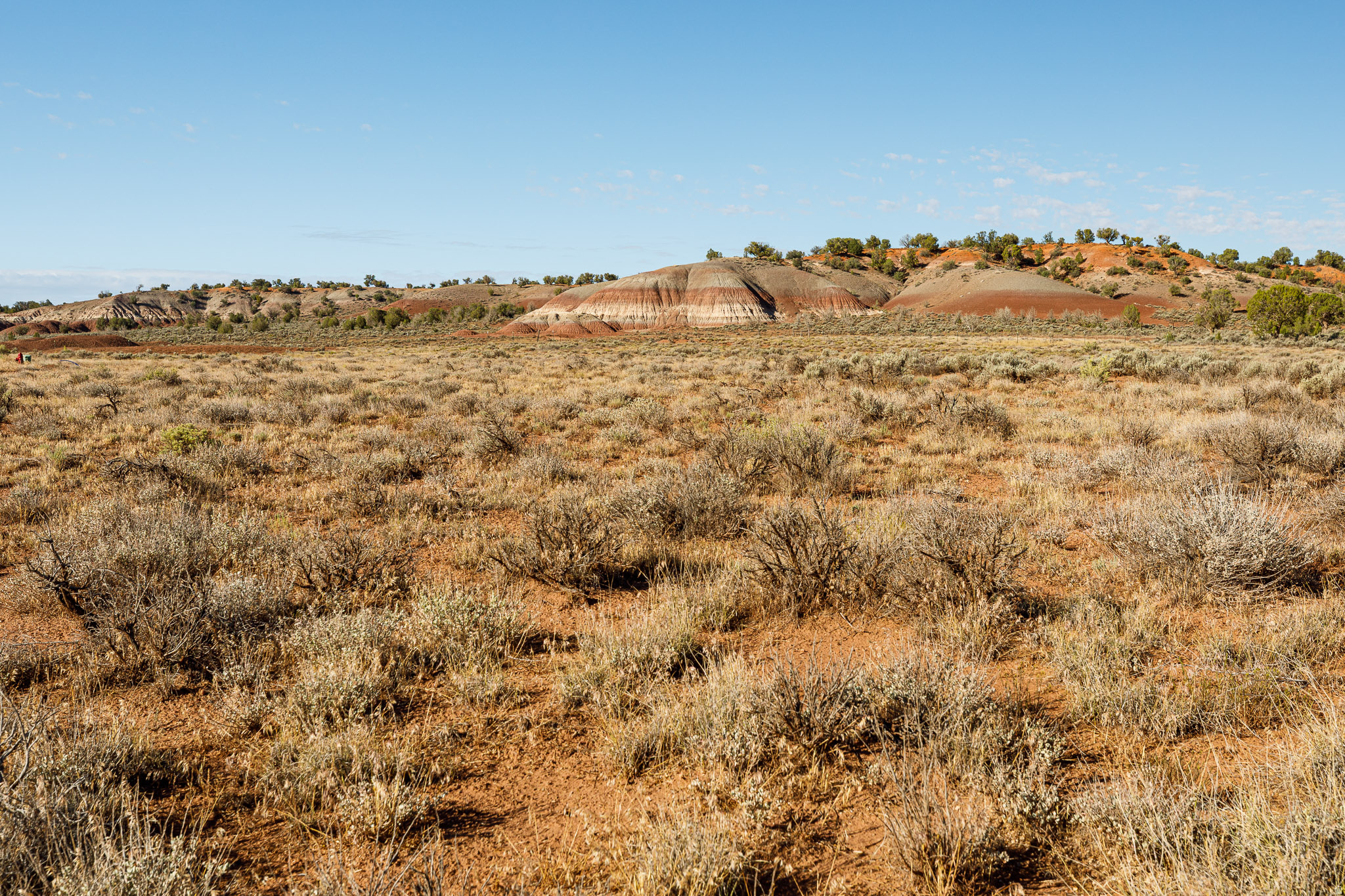 SUNFLOWER VALLEY ESTATES - Land