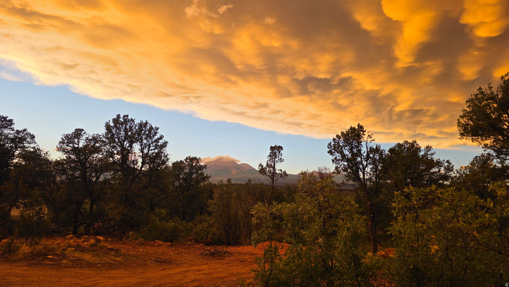 WOODLANDS AT LA SAL SUBDIVISION - Land
