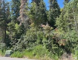SUMMIT PARK SUBDIVISION - Land