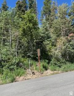 SUMMIT PARK SUBDIVISION - Land