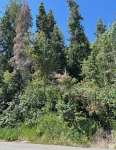 SUMMIT PARK SUBDIVISION - Land