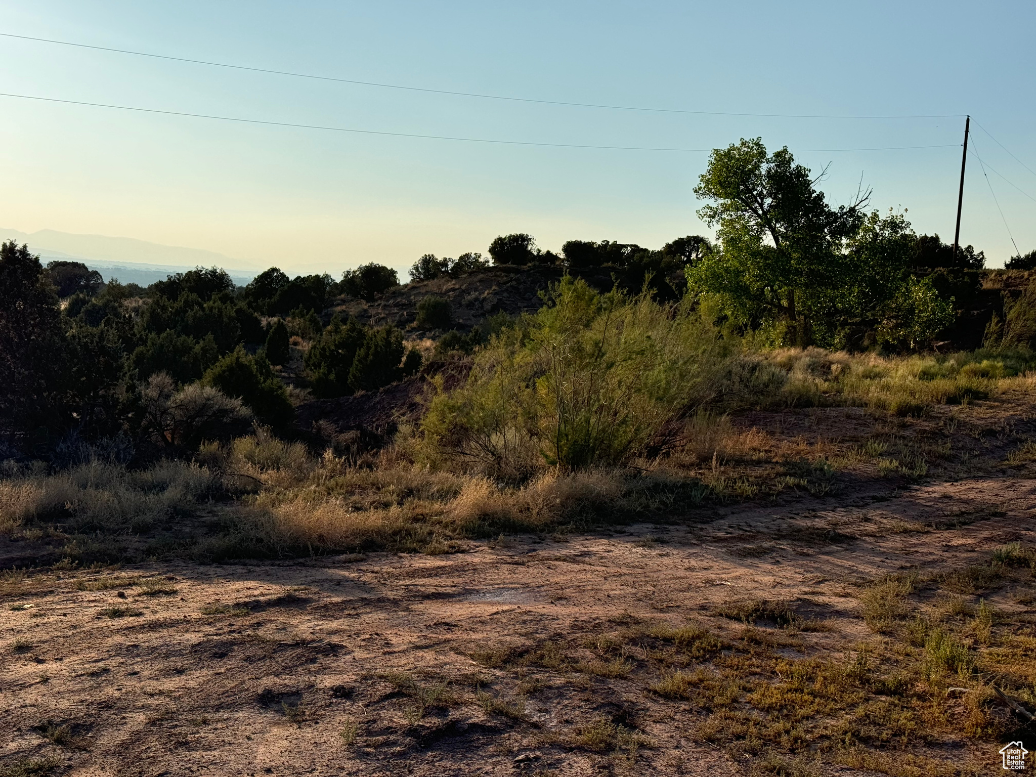 BLUEBELL ESTATES - Land