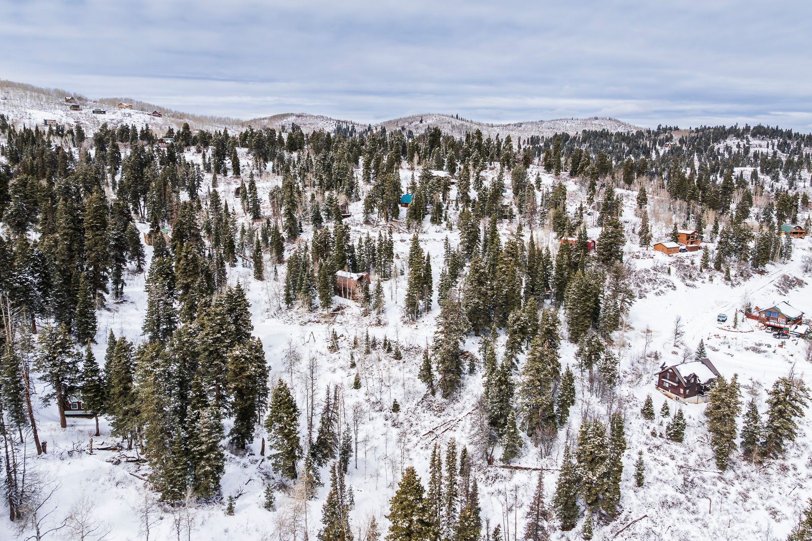 PINE MEADOW RANCH - Land