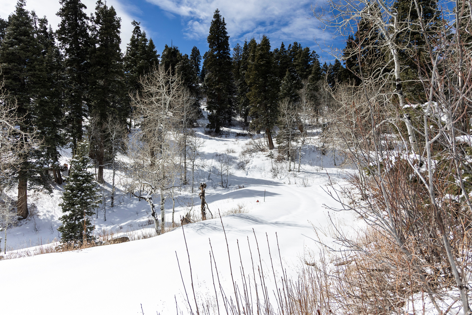 PINE MEADOW RANCH - Land