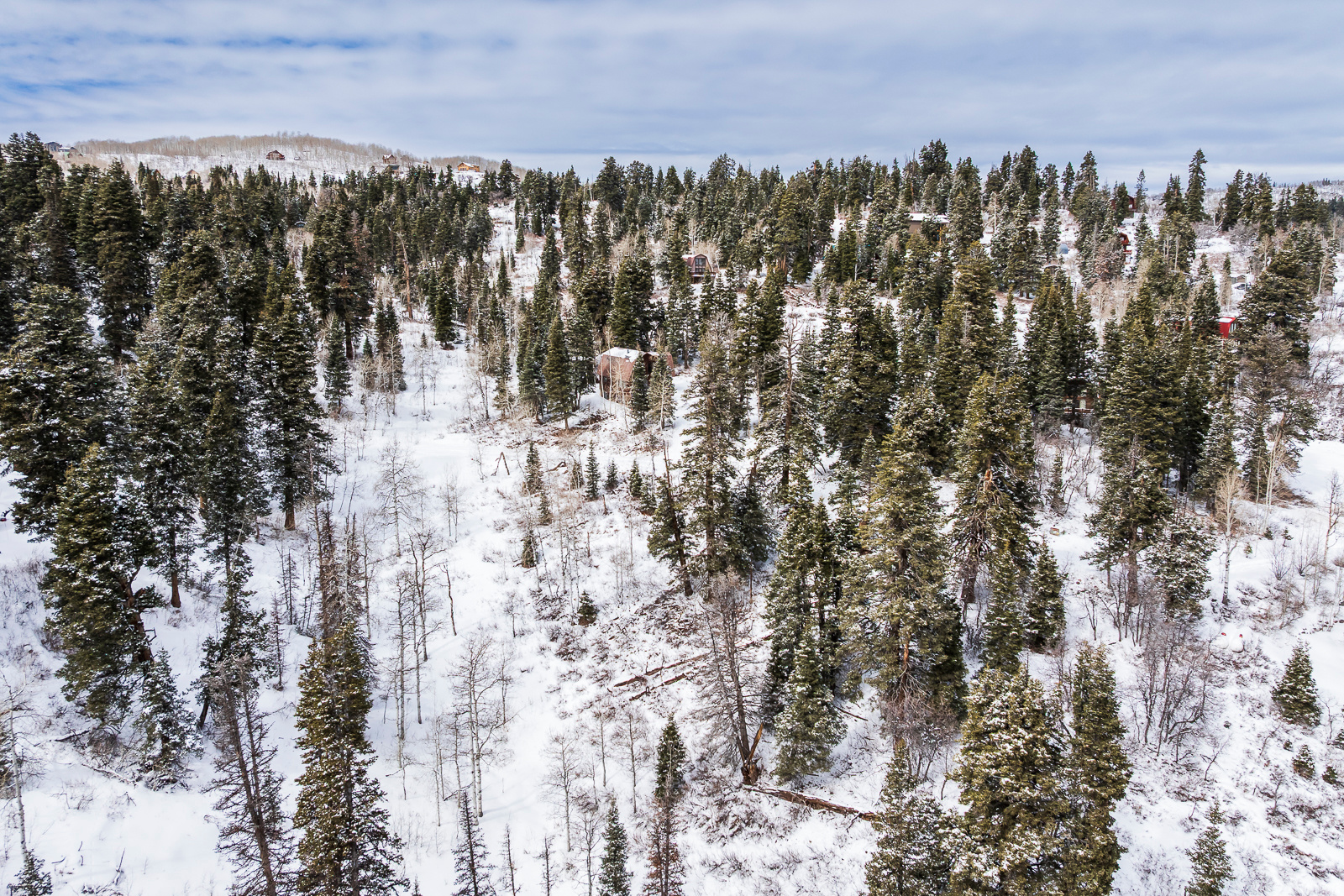 PINE MEADOW RANCH - Land